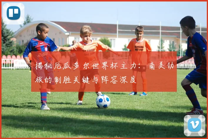 揭秘厄瓜多尔世界杯主力：南美劲旅的制胜关键与阵容深度